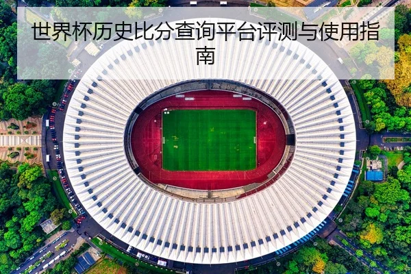 世界杯历史比分查询平台评测与使用指南