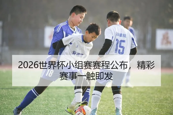 2026世界杯小组赛赛程公布，精彩赛事一触即发