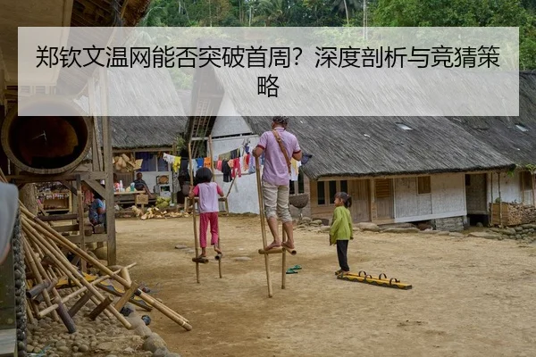 郑钦文温网能否突破首周？深度剖析与竞猜策略